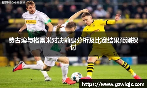 费古埃与格雷米对决前瞻分析及比赛结果预测探讨