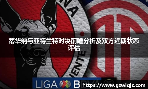 VSport胜利因您更精彩